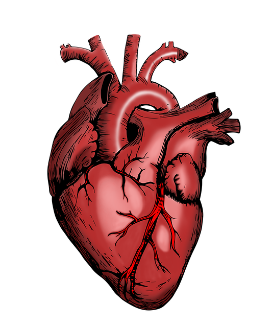 Образование и здоровье: как связаны эти сферы?
